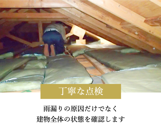 丁寧な点検