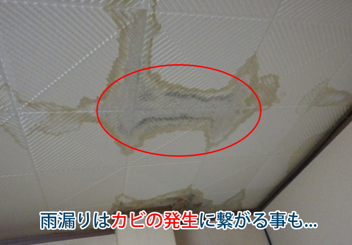 雨漏りはカビの発生に繋がる事も...