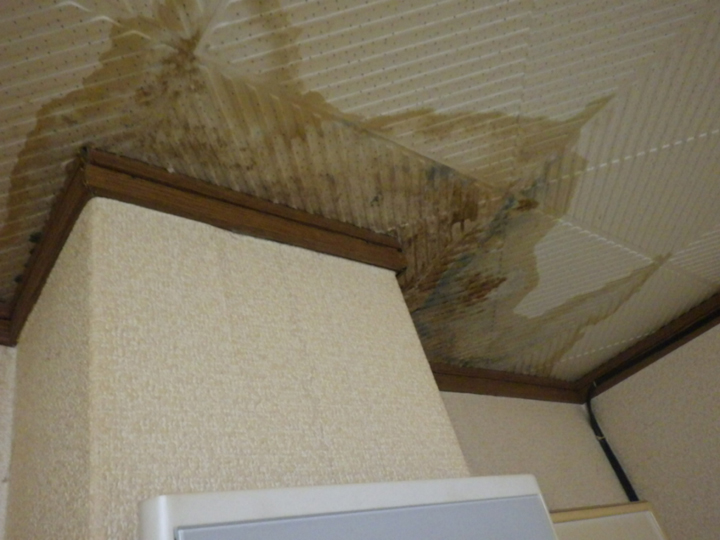雨漏りによる天井のシミ