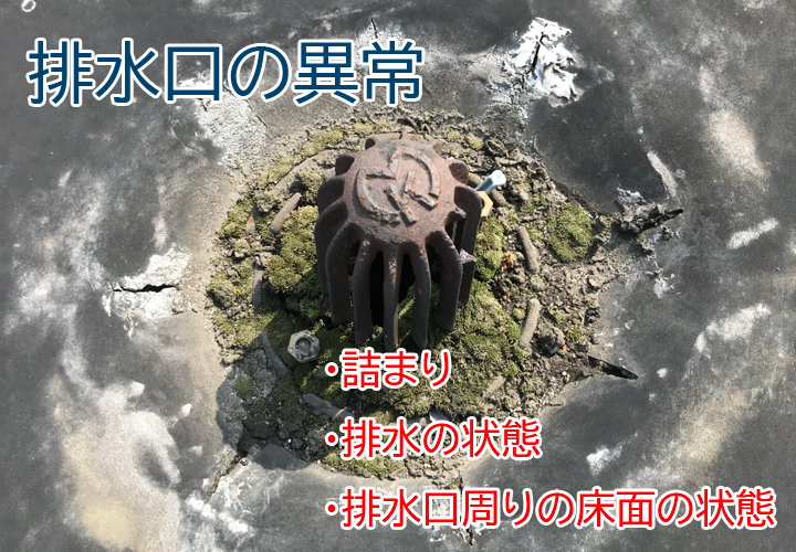 排水口の異常