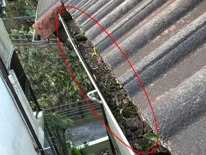 雨樋の詰まり