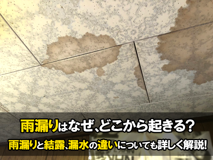 家で雨漏り発生！？なぜ、どこから起きる？雨漏りと結露、漏水の違いについても詳しく解説！