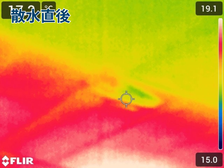 散水直後