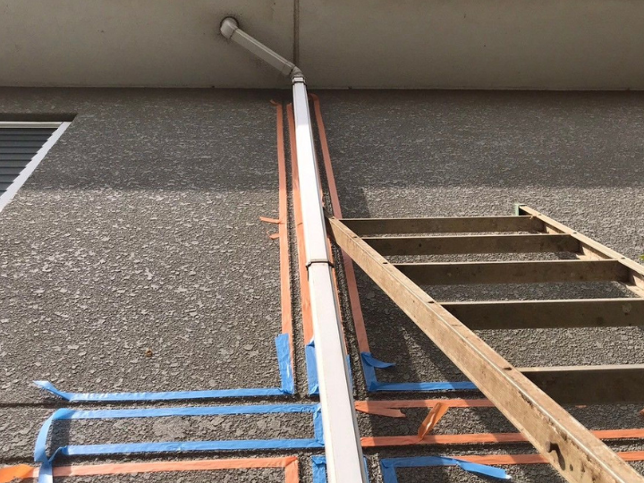 養生