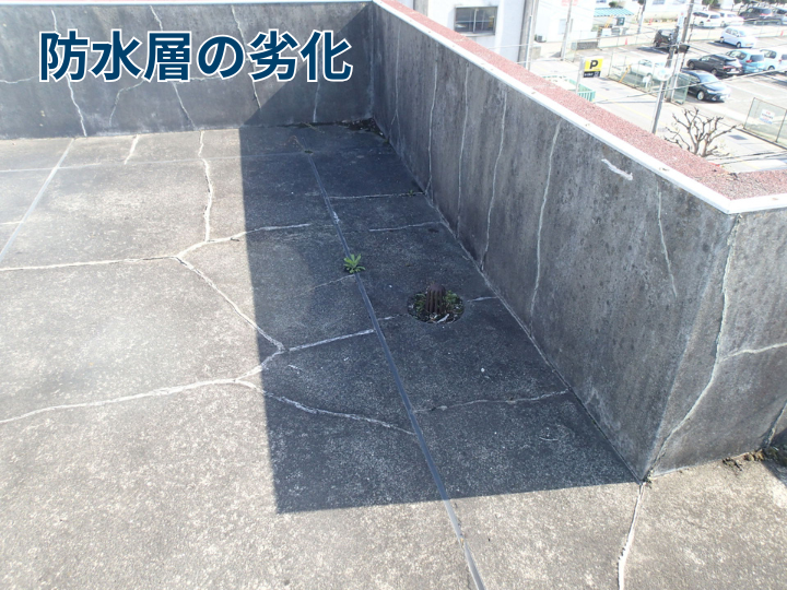 防水層の劣化