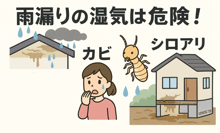 雨漏りの湿気は危険！
