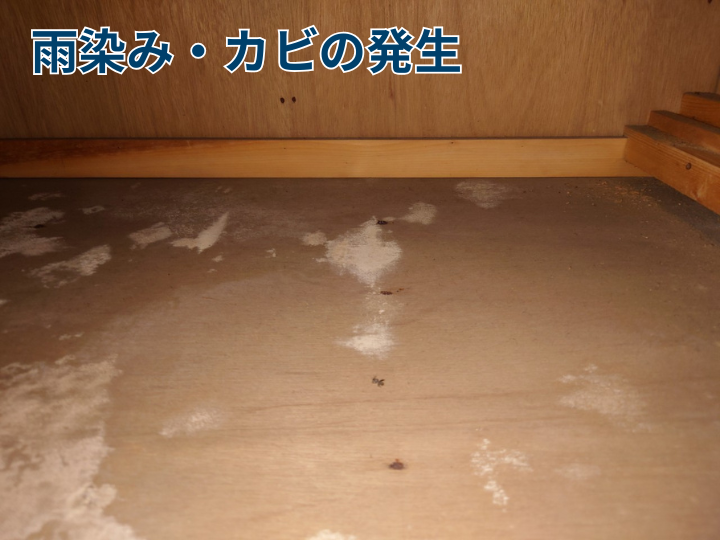 雨染み・カビの発生