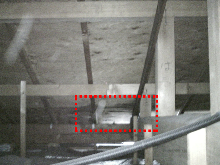 浸水が発生している小屋裏