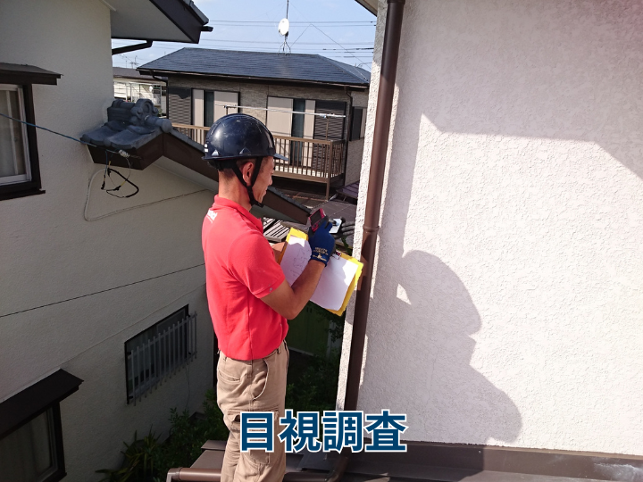 目視調査
