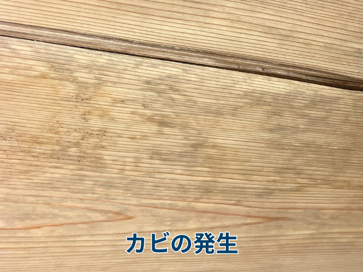 カビの発生