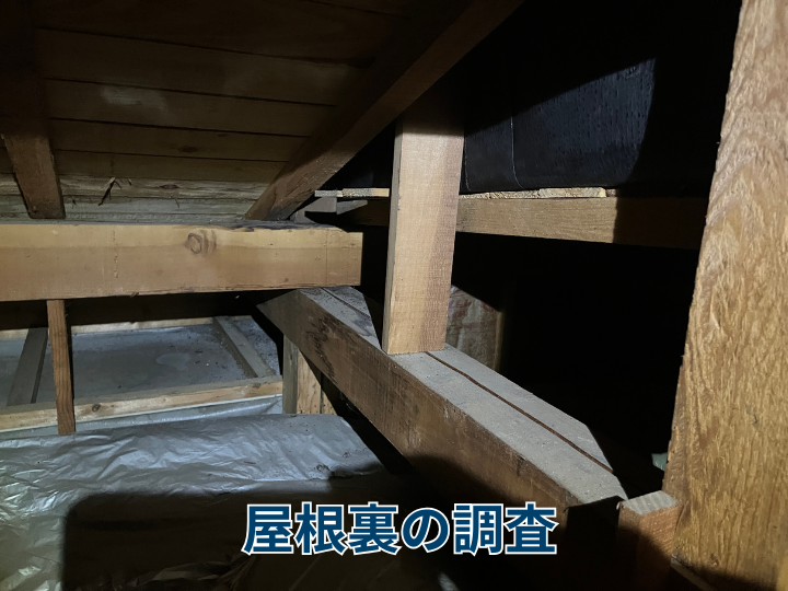 屋根裏の調査
