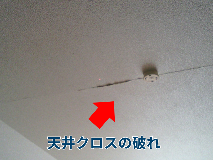 天井クロスの破れ