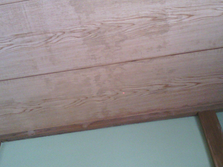 天井に出来た染み