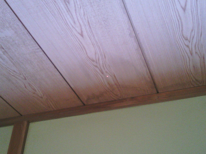 肉眼で見た天井の様子