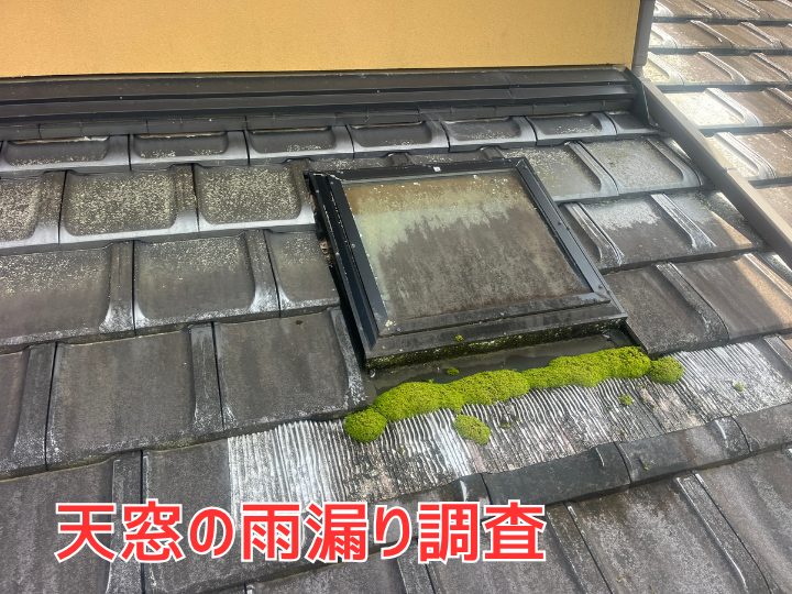 屋根に設置された天窓に発生した苔
