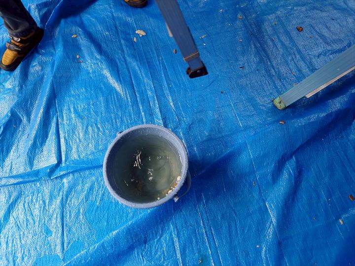 水漏れ部分に設置したバケツが満杯に