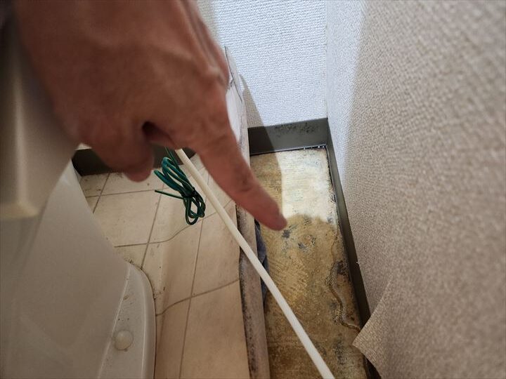 トイレ床面に雨水の浸入を確認