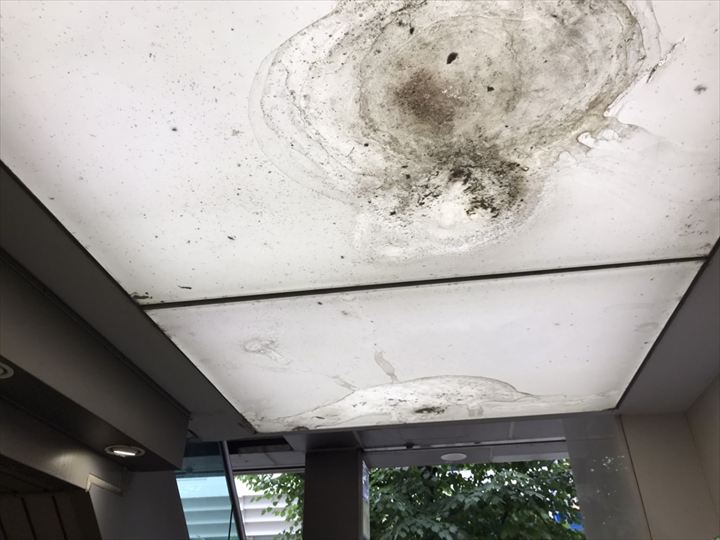 ビルロビーの天井に広範囲の雨染みや黒ずみが確認