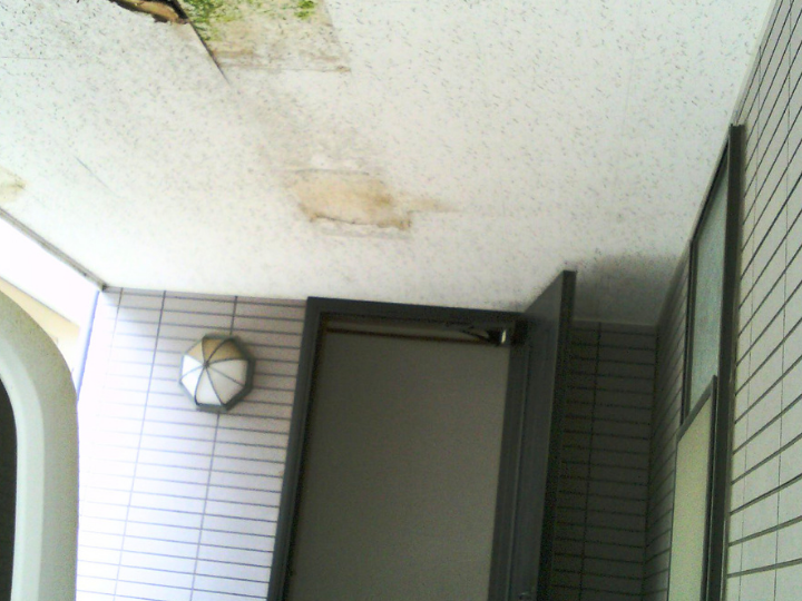 緑色のコケやカビが広範囲に繁殖した軒天