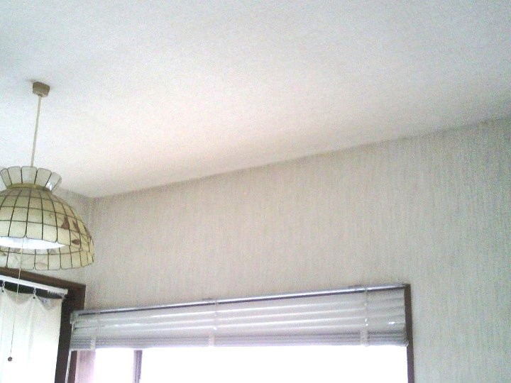 室内壁と天井の取り合い部の全体像