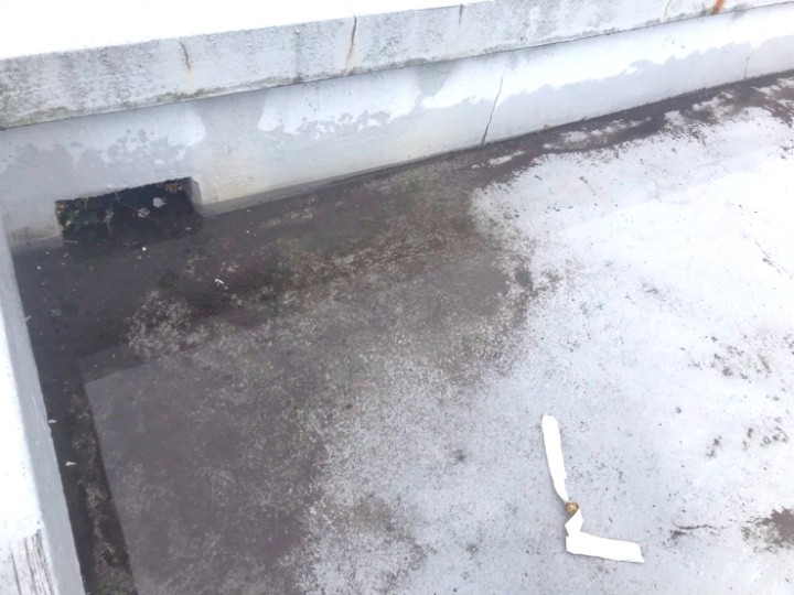 陸屋根の排水溝に水が溜まっている状態（近影）